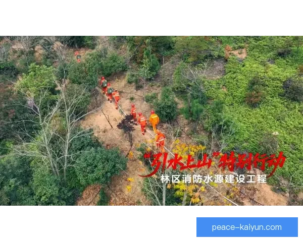 瑞安提升扑救能力，消防装备新增保障市民安全表现亮眼