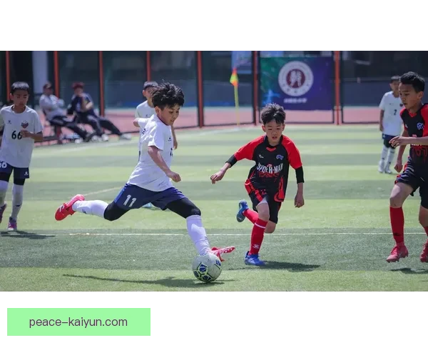 挪威青训体系助力国家队未来发展，培养新一代足球明星表现亮眼