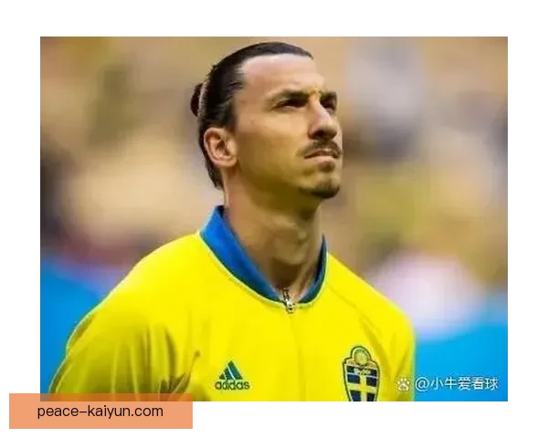 瑞典伊布退役后对足球界的影响分析与展望