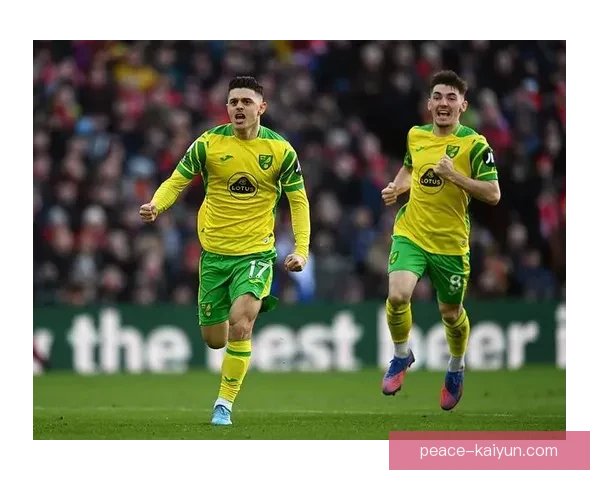 诺维奇新援状态回暖，近期表现备受关注